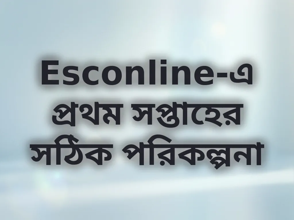 নতুন খেলোয়াড়ের গাইড